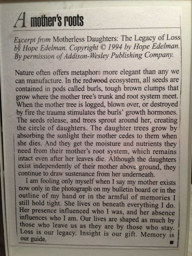 a mothers roots