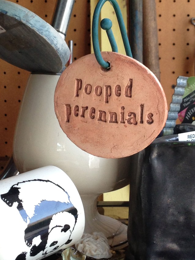 pooped-perrenials